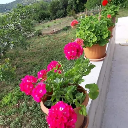 House Gardenia House Janjina